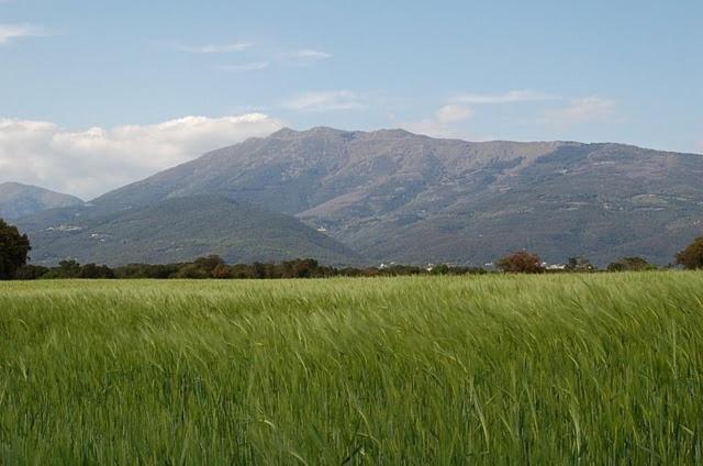 Turo De L'Home Santa María de Palautordera エクステリア 写真